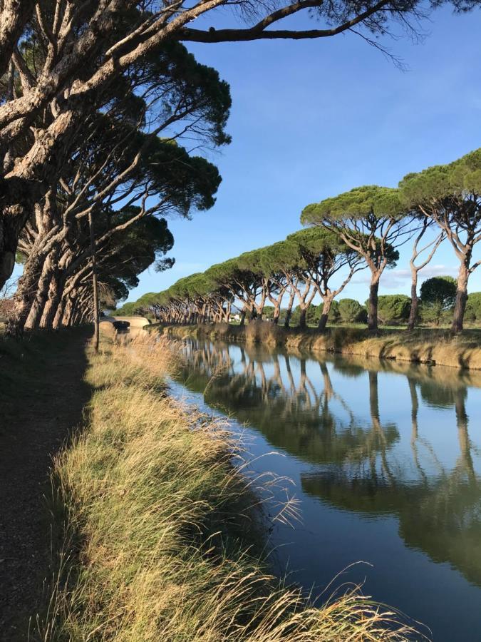 Villa Pintourina Salleles-d'Aude Экстерьер фото